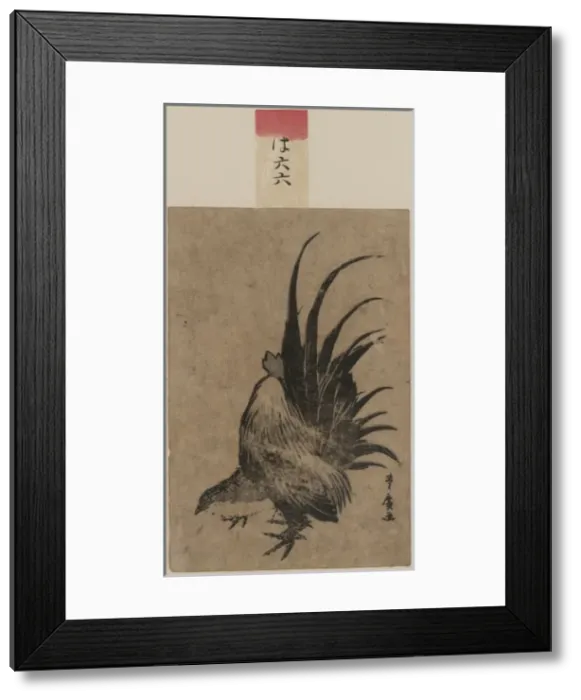 Framed Print : Chicken. Date between 1804 and 1818 Framed Print : Chicken. Date between 1804 and 1818