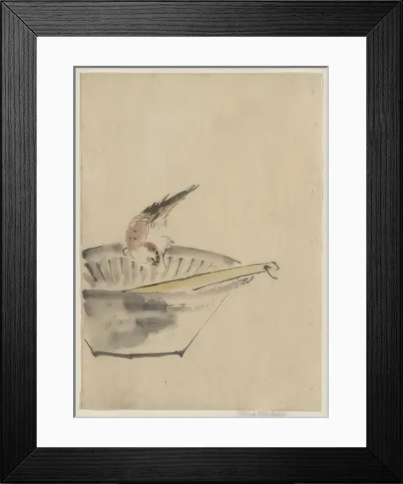 Framed Print : A bird perched on the edge of a bowl, with head cocked, look Framed Print : A bird perched on the edge of a bowl, with head cocked, look
