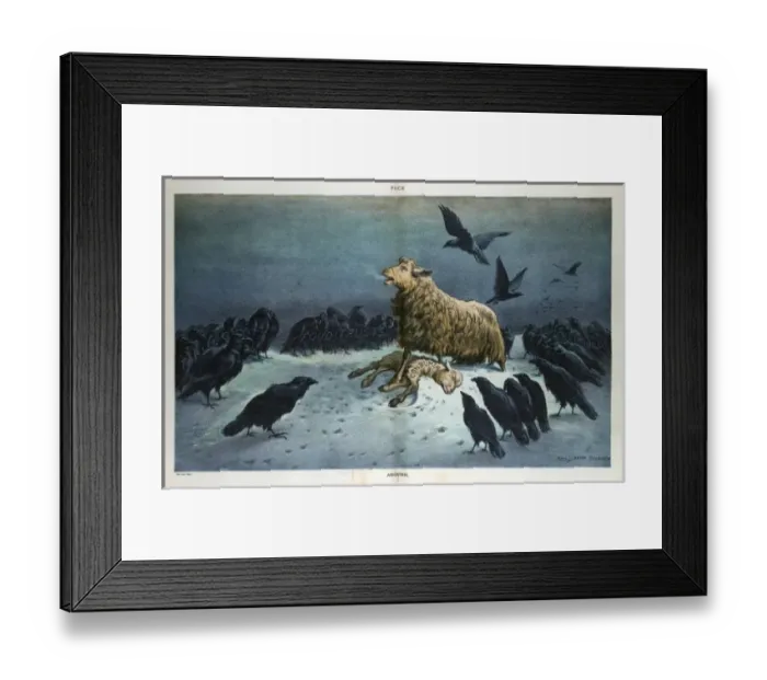 Framed Print : Anguish. Illustration shows a sheep labeled The Law standing over a lamb Framed Print : Anguish. Illustration shows a sheep labeled The Law standing over a lamb