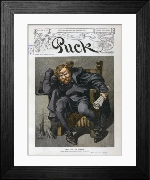 Framed Print : Tedlets soliloquy Framed Print : Tedlets soliloquy