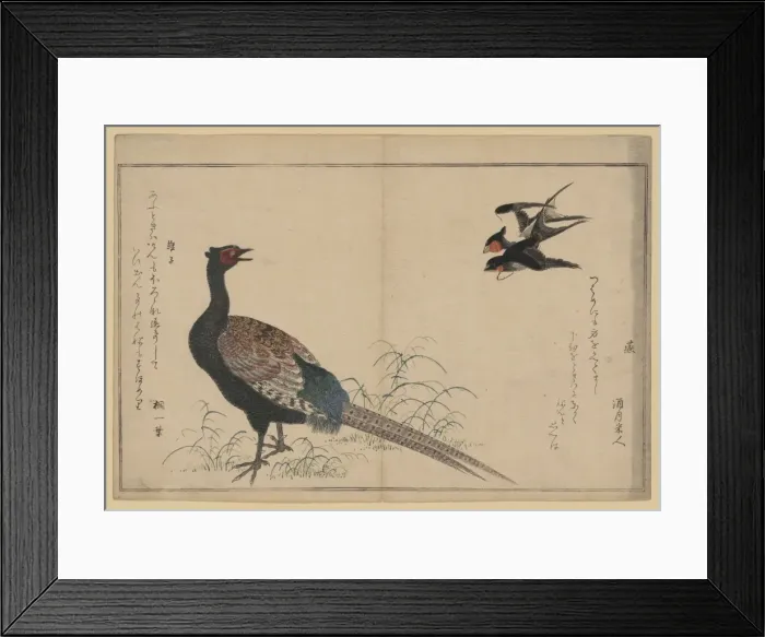 Framed Print : Swallows and pheasant Framed Print : Swallows and pheasant