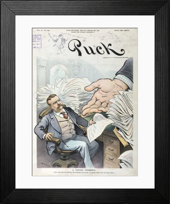 Framed Print : A capitol nuisance Framed Print : A capitol nuisance