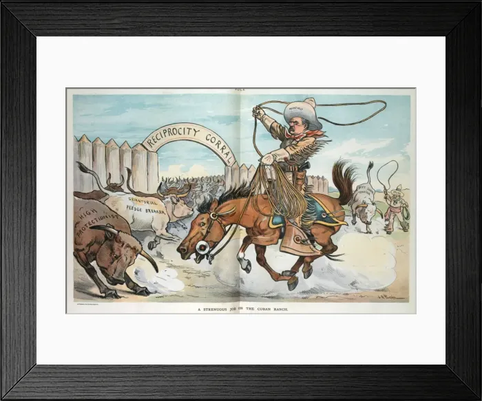 Framed Print : A strenuous job on the Cuban ranch Framed Print : A strenuous job on the Cuban ranch