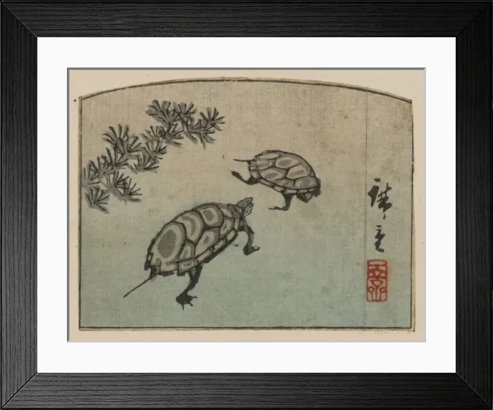 Framed Print : Turtles. Print shows two turtles. Date between 1848 and 1858 Framed Print : Turtles. Print shows two turtles. Date between 1848 and 1858