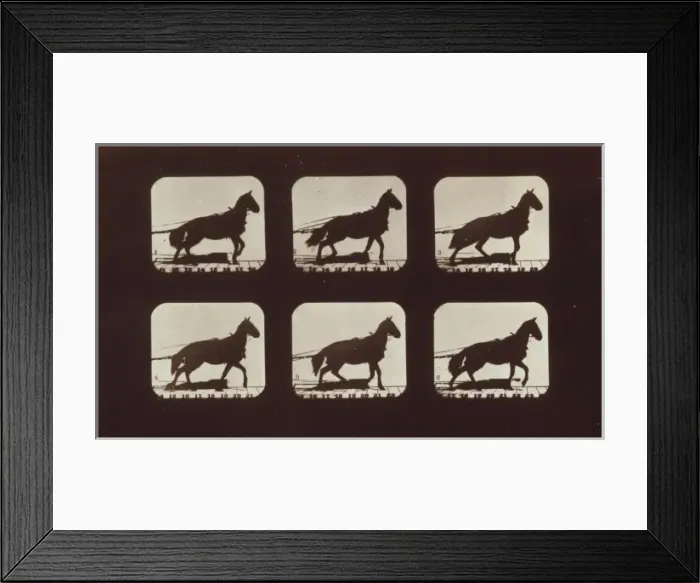 Framed Print : Horses. Hauling Framed Print : Horses. Hauling