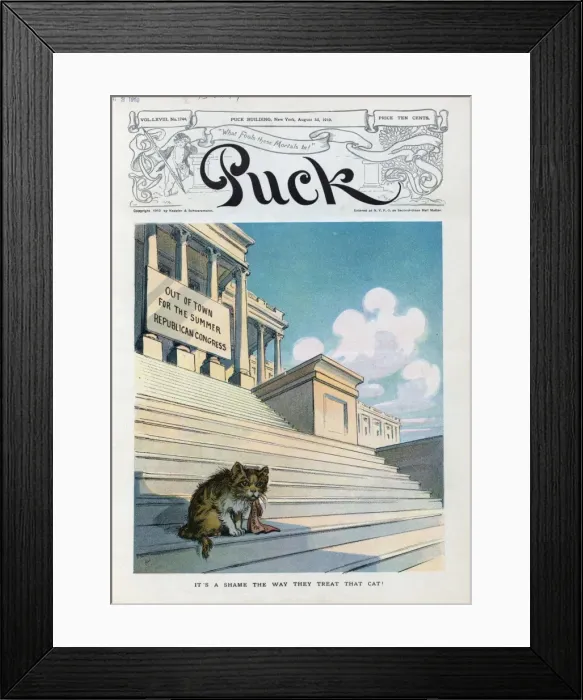Framed Print : Its a shame the way they treat that cat Framed Print : Its a shame the way they treat that cat