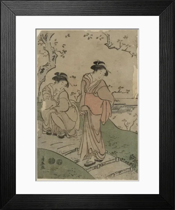 Framed Print : Cherry blossom viewing Framed Print : Cherry blossom viewing