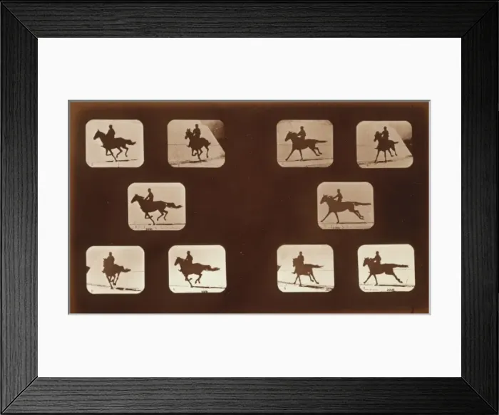 Framed Print : Horses. Running Framed Print : Horses. Running