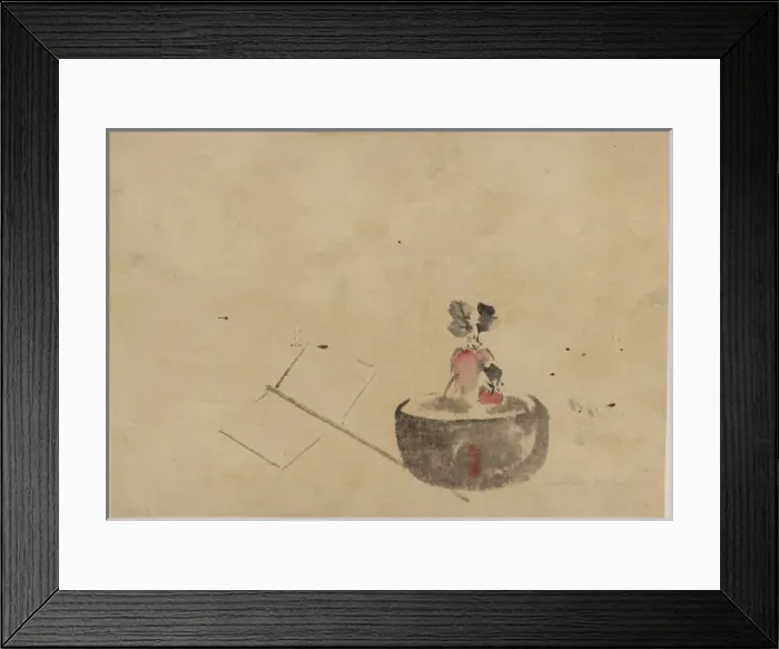 Framed Print : Flower or vegetable in a flowerpot Framed Print : Flower or vegetable in a flowerpot