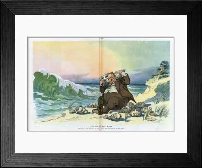 Framed Print : The voice of the ocean Framed Print : The voice of the ocean