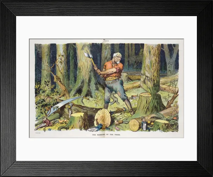Framed Print : The massacre of the trees Framed Print : The massacre of the trees