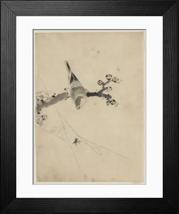 Framed Print : A bird perched on a tree branch with blossoms, watching a sp Framed Print : A bird perched on a tree branch with blossoms, watching a sp