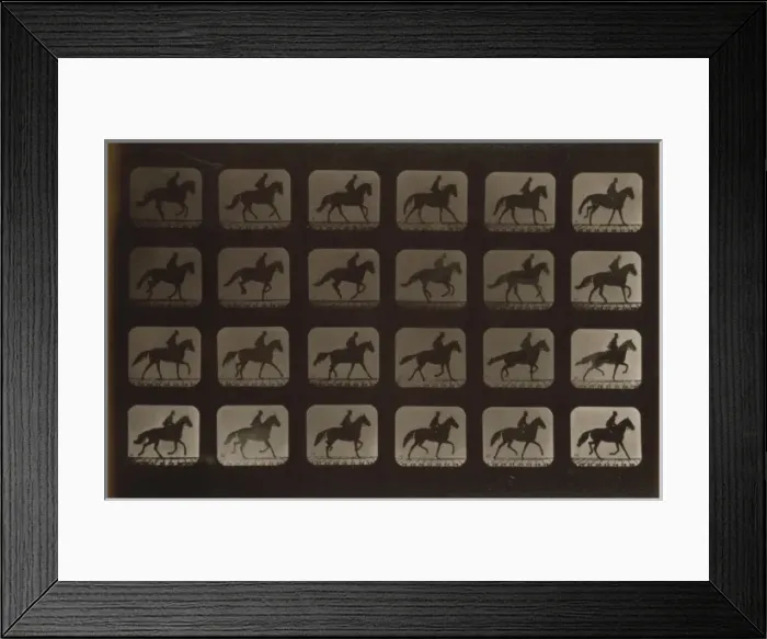 Framed Print : Horses. Irregular Framed Print : Horses. Irregular