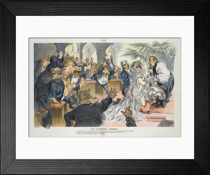 Framed Print : The interrupted ceremony Framed Print : The interrupted ceremony