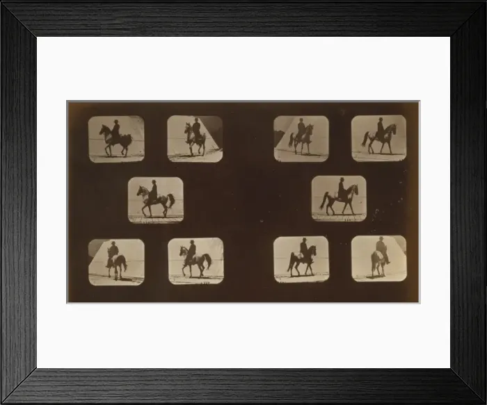 Framed Print : Horses. Walking Framed Print : Horses. Walking