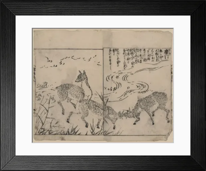 Framed Print : Deer, two bucks fighting, next to a stream Framed Print : Deer, two bucks fighting, next to a stream