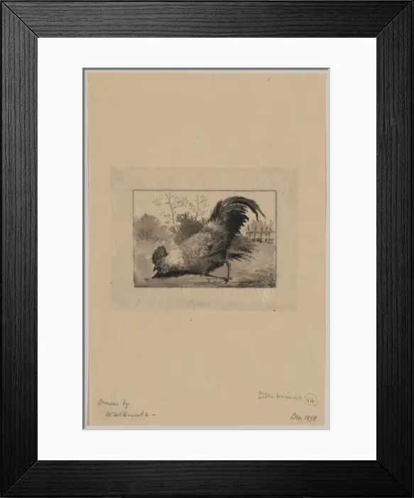 Framed Print : Dom. animals Framed Print : Dom. animals