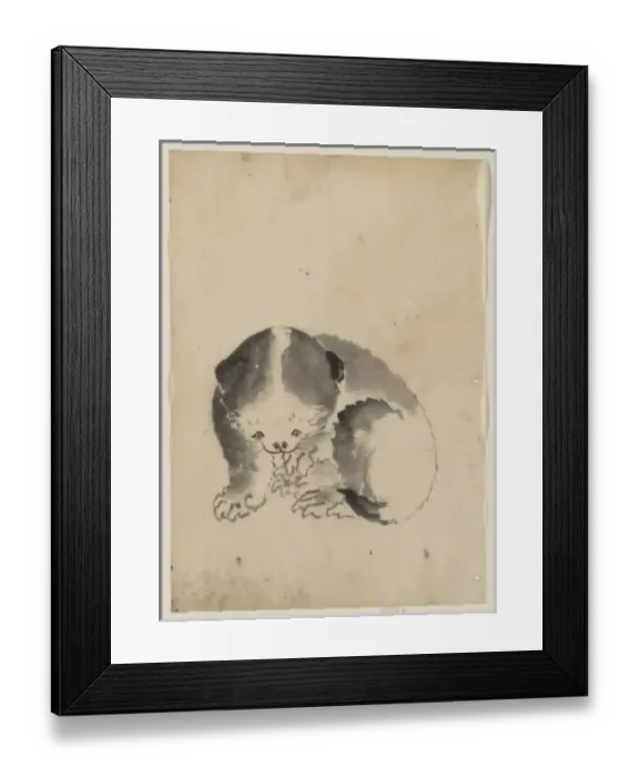 Framed Print : A cat cleaning its claws Framed Print : A cat cleaning its claws