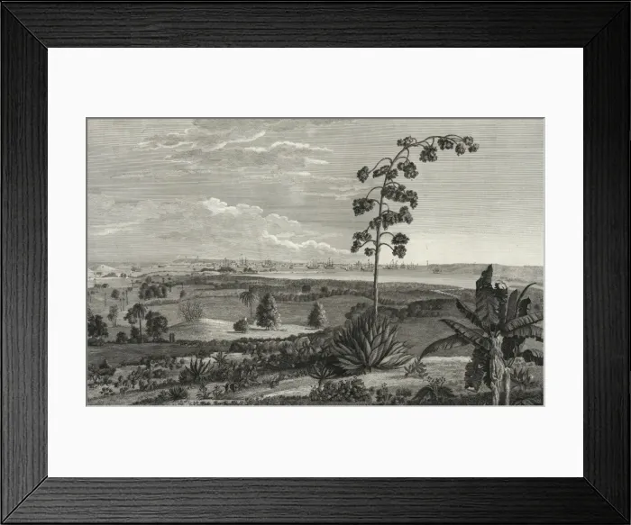 Framed Print : A view of the harbour & city of the Havana, taken from the h Framed Print : A view of the harbour & city of the Havana, taken from the h