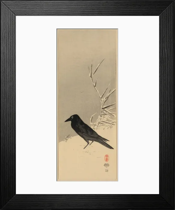 Framed Print : Blackbird near reeds in snow Framed Print : Blackbird near reeds in snow