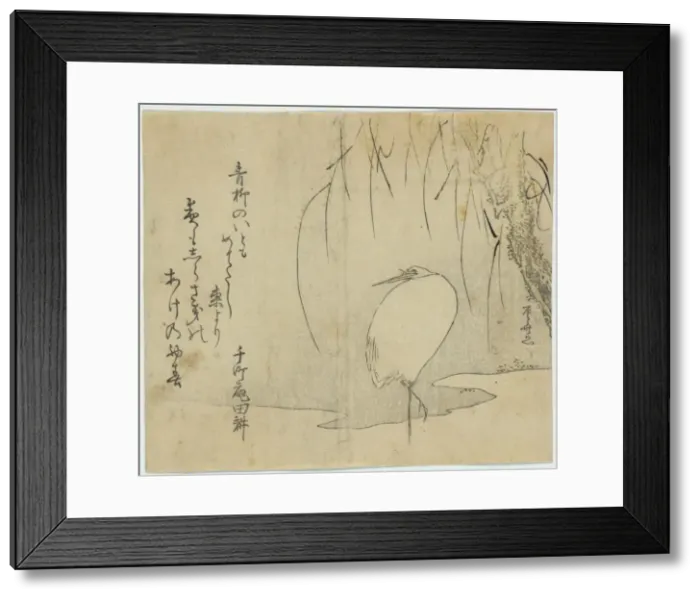Framed Print : White heron beneath a willow tree Framed Print : White heron beneath a willow tree