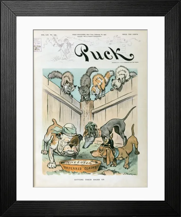 Framed Print : Getting their backs up Framed Print : Getting their backs up