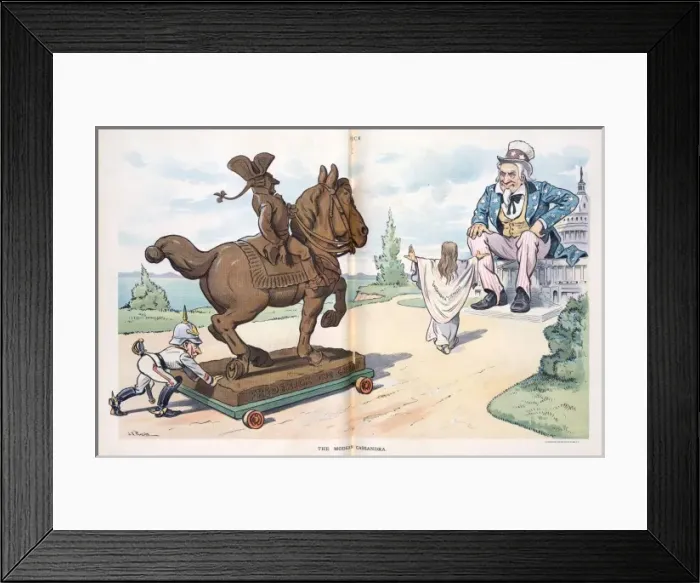 Framed Print : The modern Cassandra
