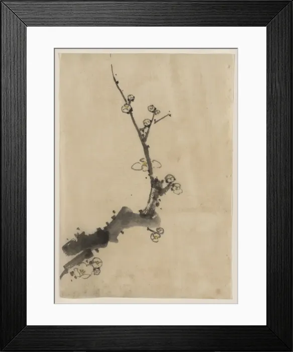 Framed Print : Fruit tree branch with blossoms Framed Print : Fruit tree branch with blossoms