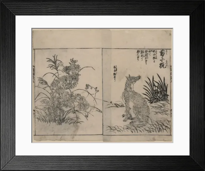 Framed Print : Foxes and chrysanthemums Framed Print : Foxes and chrysanthemums