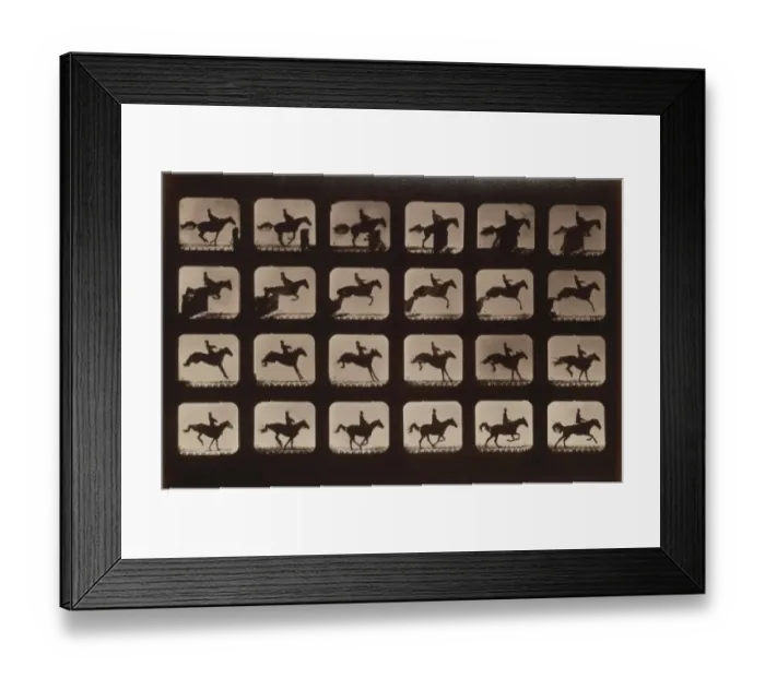 Framed Print : Horses. Leaping a 3 ft. 6 hurdle Framed Print : Horses. Leaping a 3 ft. 6 hurdle