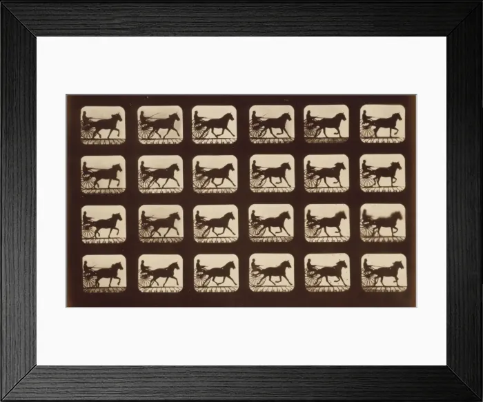 Framed Print : Horses. Pacing Framed Print : Horses. Pacing