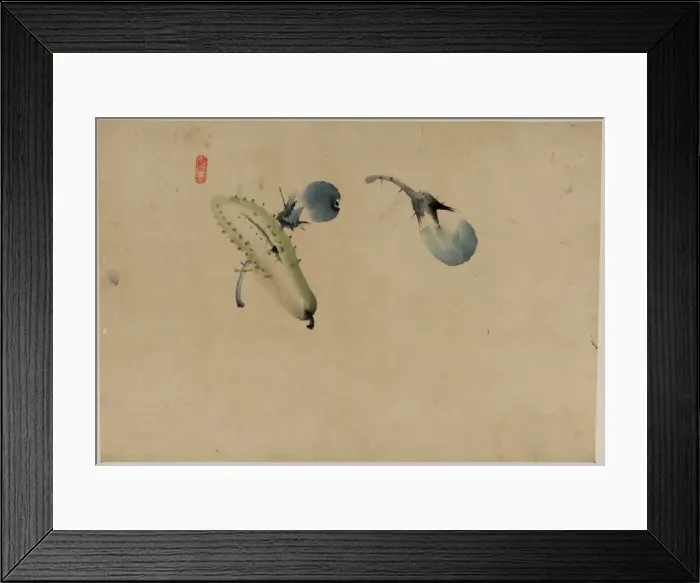 Framed Print : Cucumber or squash and eggplant Framed Print : Cucumber or squash and eggplant