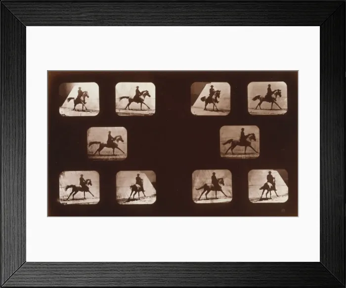 Framed Print : Horses. Running Framed Print : Horses. Running