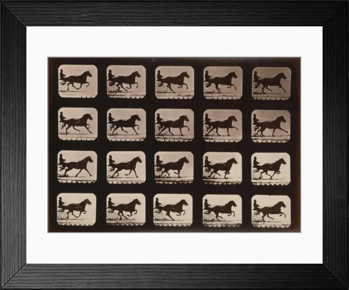 Framed Print : Horses. Irregular Framed Print : Horses. Irregular