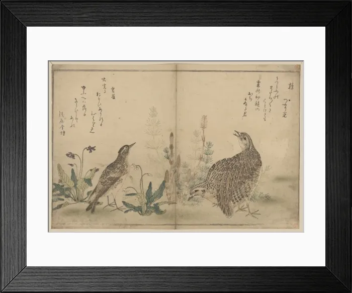 Framed Print : Quail and Meadowlark Framed Print : Quail and Meadowlark