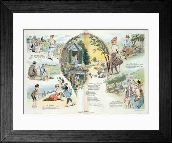 Framed Print : Pucks summer salad Framed Print : Pucks summer salad