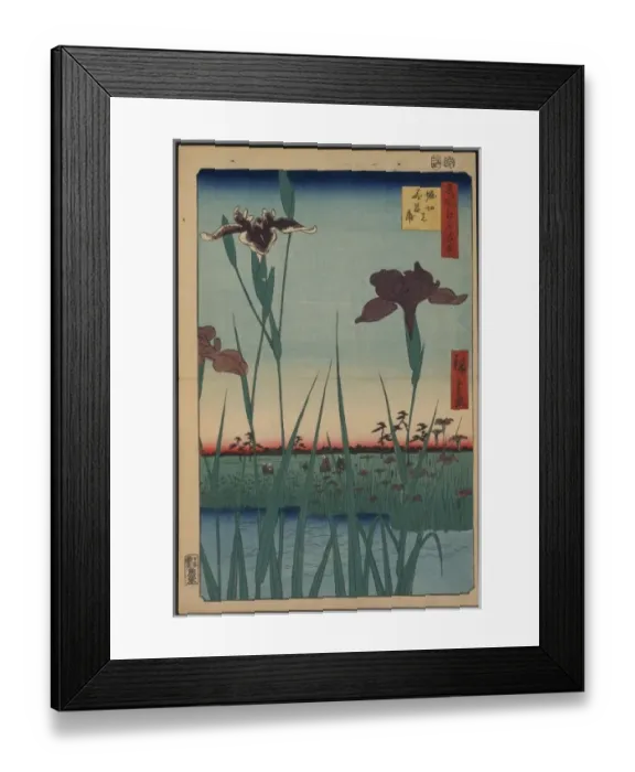 Framed Print : Horikiri iris garden Framed Print : Horikiri iris garden