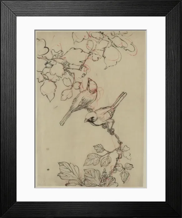 Framed Print : Two birds perched on grapevines Framed Print : Two birds perched on grapevines