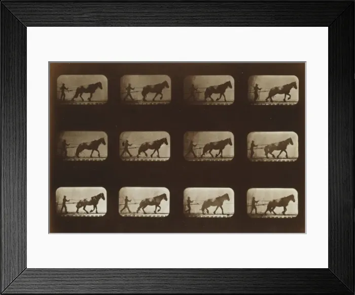 Framed Print : Horses. Hauling Framed Print : Horses. Hauling