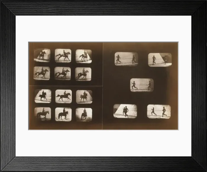 Framed Print : Horses. Running - Horses. Running - Horses. Running - Horses Framed Print : Horses. Running - Horses. Running - Horses. Running - Horses