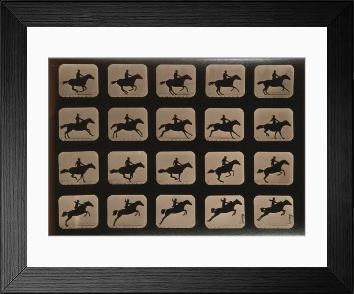 Framed Print : Horses. Leaping a 3 ft. 6 hurdle Framed Print : Horses. Leaping a 3 ft. 6 hurdle