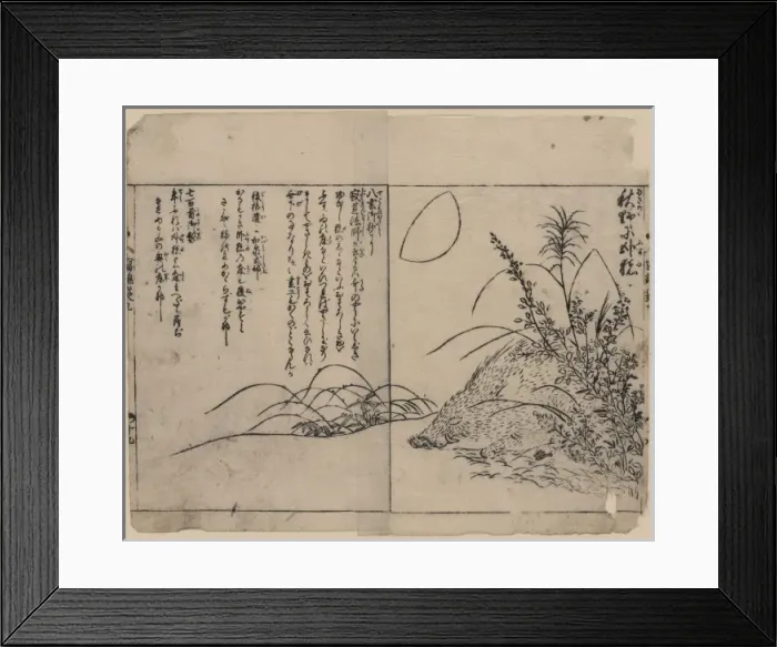 Framed Print : Wild boar sleeping beneath bushes during autumn