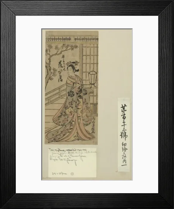 Framed Print : The actor Arashi Hinaji in the role of Joruri Gozen Framed Print : The actor Arashi Hinaji in the role of Joruri Gozen