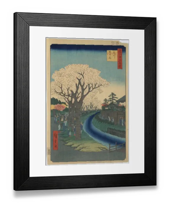 Framed Print : Blossoms on the Tama River embankment Framed Print : Blossoms on the Tama River embankment