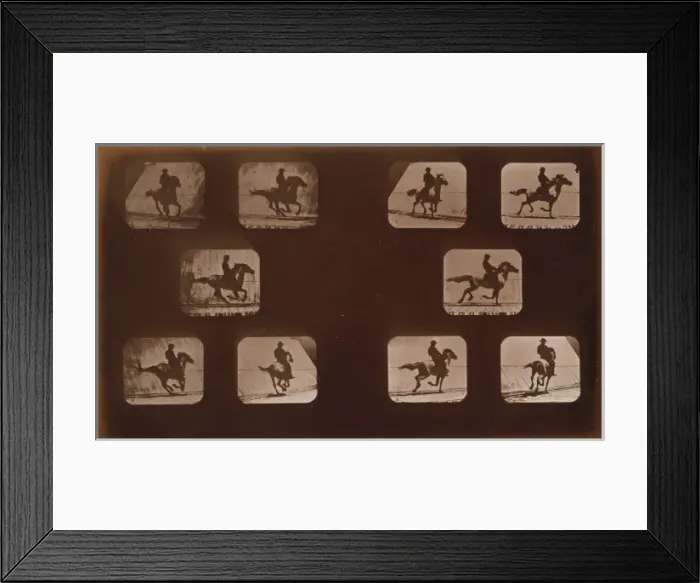 Framed Print : Horses. Running Framed Print : Horses. Running