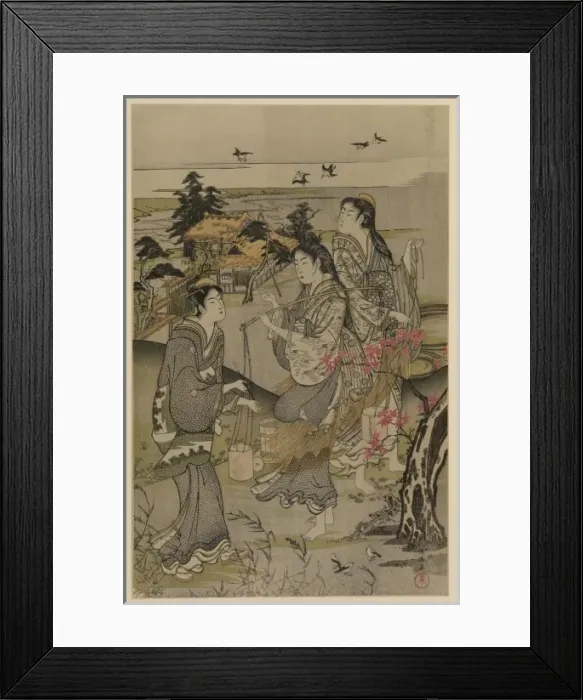 Framed Print : Plovers at Tamagawa Framed Print : Plovers at Tamagawa