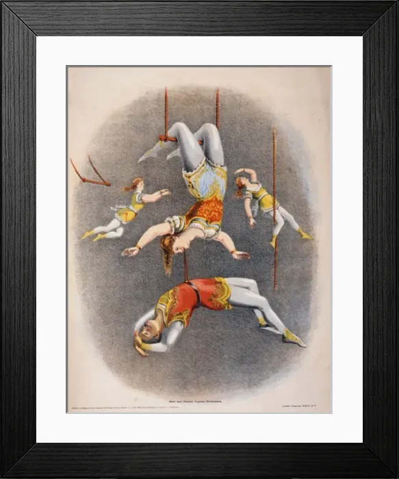 Framed Print : Male and female trapeze performers Framed Print : Male and female trapeze performers