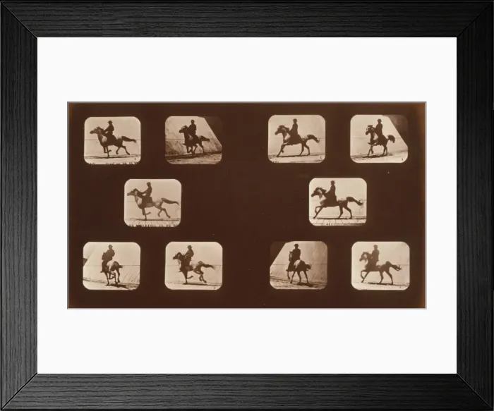 Framed Print : Horses. Running Framed Print : Horses. Running