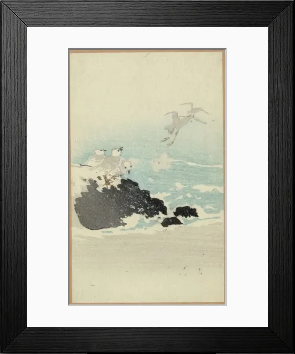 Framed Print : Plovers over waves Framed Print : Plovers over waves