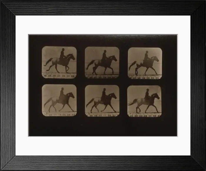 Framed Print : Horses. Irregular Framed Print : Horses. Irregular